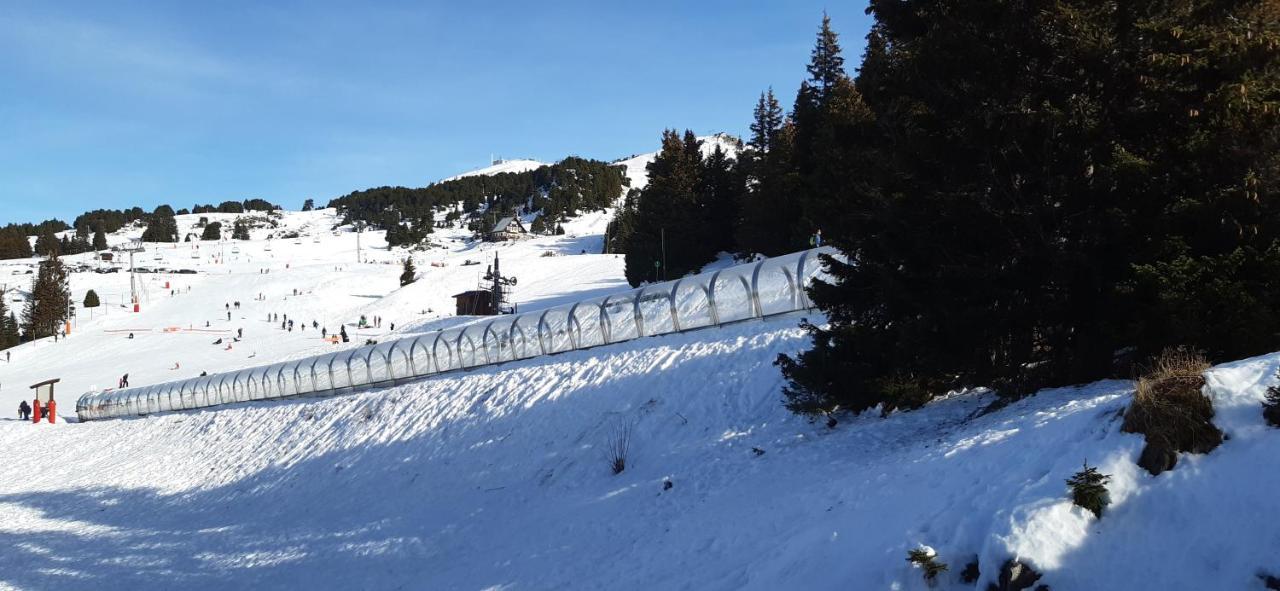 Studio Aux Pieds Des Pistes Roche Beranger Chamrousse Exterior photo
